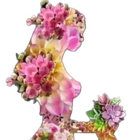 友舞新野👱🏻‍♀️ 花園街化妝品💄