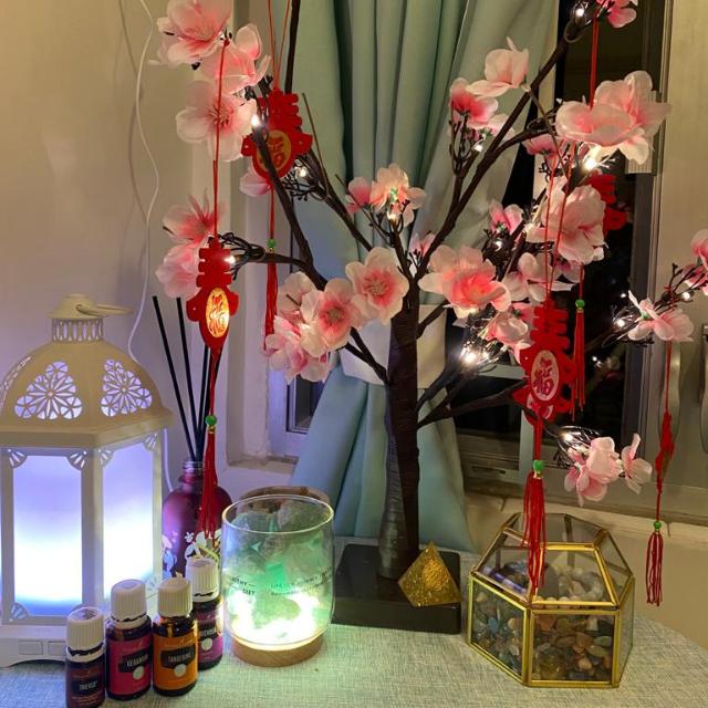 YL🍀純天然精油/產品🛍💦