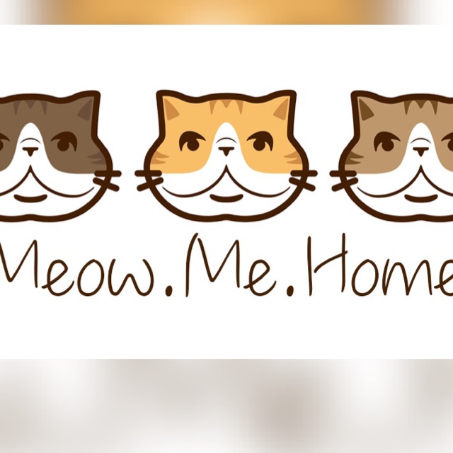 日本雜貨批發group🐈