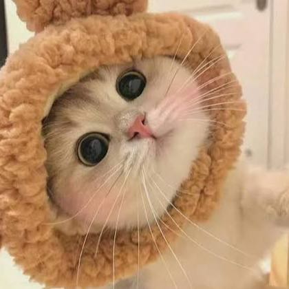 🎈🎱🎲🎮🎳🀄️🎯