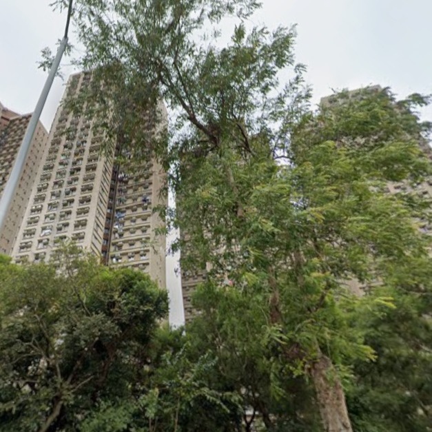 馬氏家族群Love Family