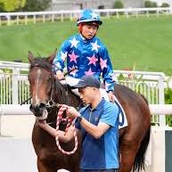 波馬致富tips推薦